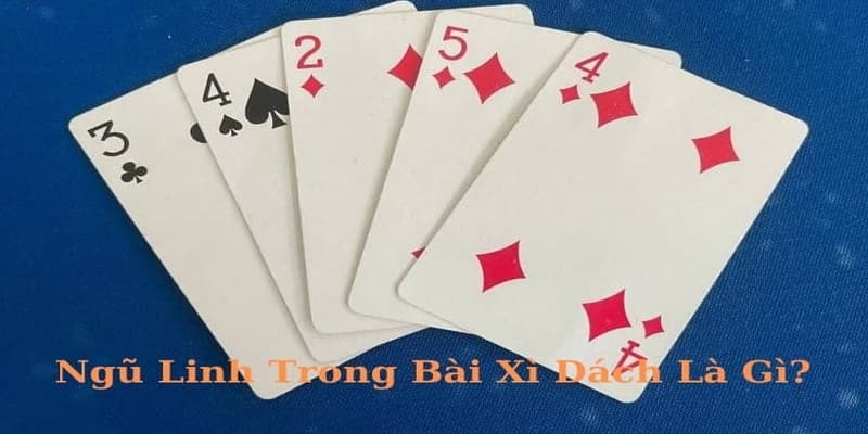 Ngũ linh trong xì dách là gì?